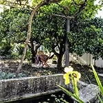 Pateo Da Memoria Casa Do Pintor Holiday home *