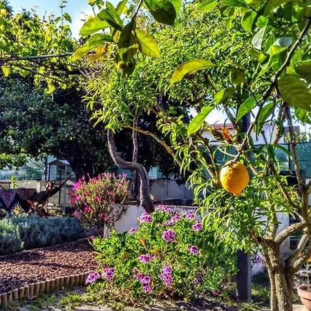 Hébergement de vacances Pateo Da Memoria Casa Do Pintor *