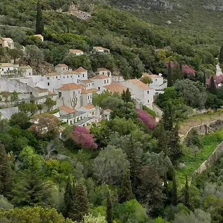 Hébergement de vacances Pateo Da Memoria Casa Do Pintor Quinta do Anjo