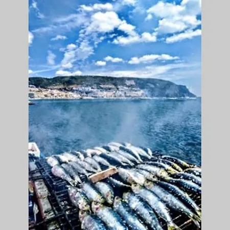 Pateo Da Memoria Casa Do Pintor Hébergement de vacances