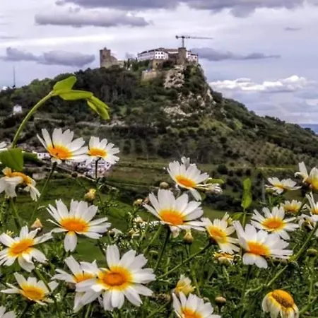 Pateo Da Memoria Casa Do Pintor Hébergement de vacances