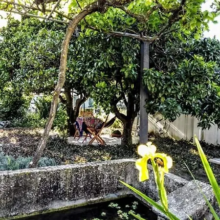Pateo Da Memoria Casa Do Pintor Ferienhaus *