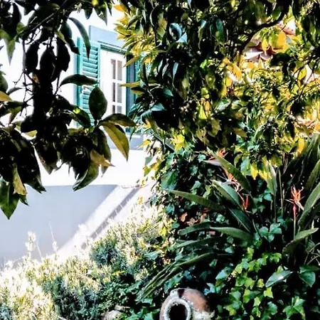 Hébergement de vacances Pateo Da Memoria Casa Do Pintor