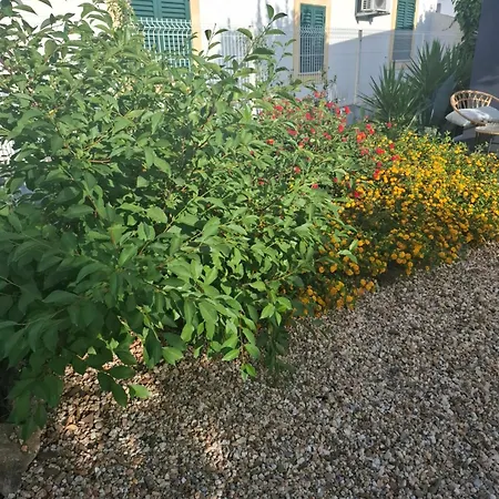 Pateo Da Memoria Casa Do Pintor