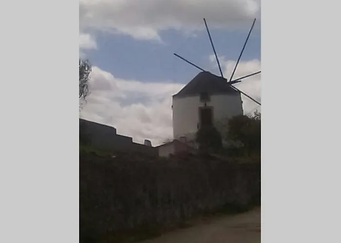 Pateo Da Memoria Casa Do Pintor * 奎恩塔杜安乔