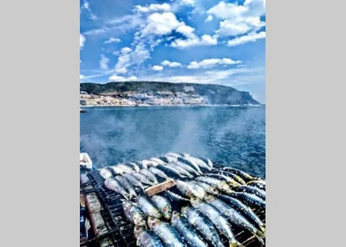 Pateo Da Memoria Casa Do Pintor 度假居