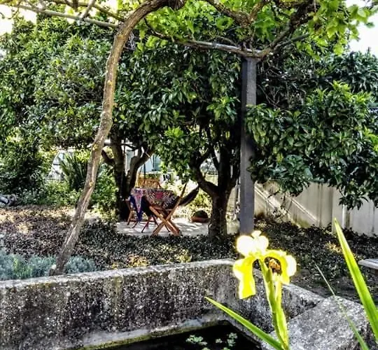 Pateo Da Memoria Casa Do Pintor 度假居 *